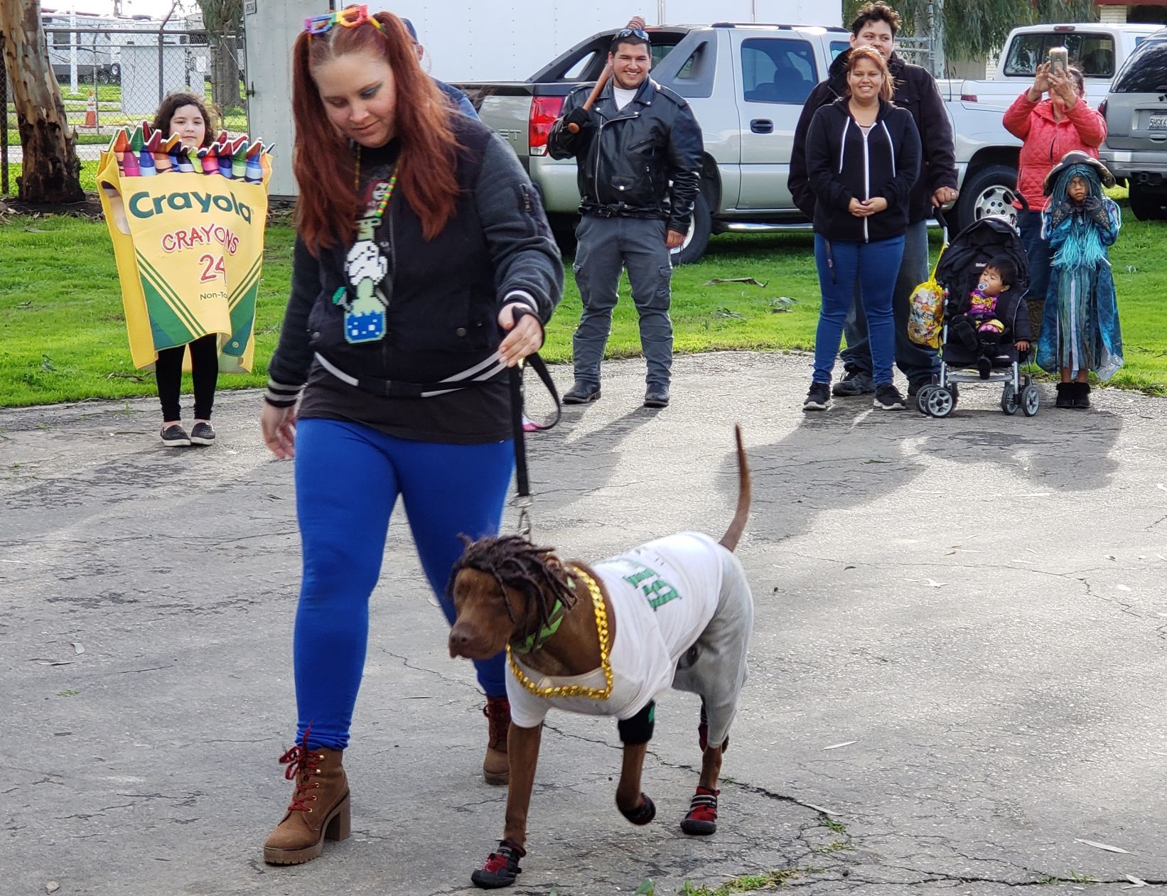 Comic Con Dog